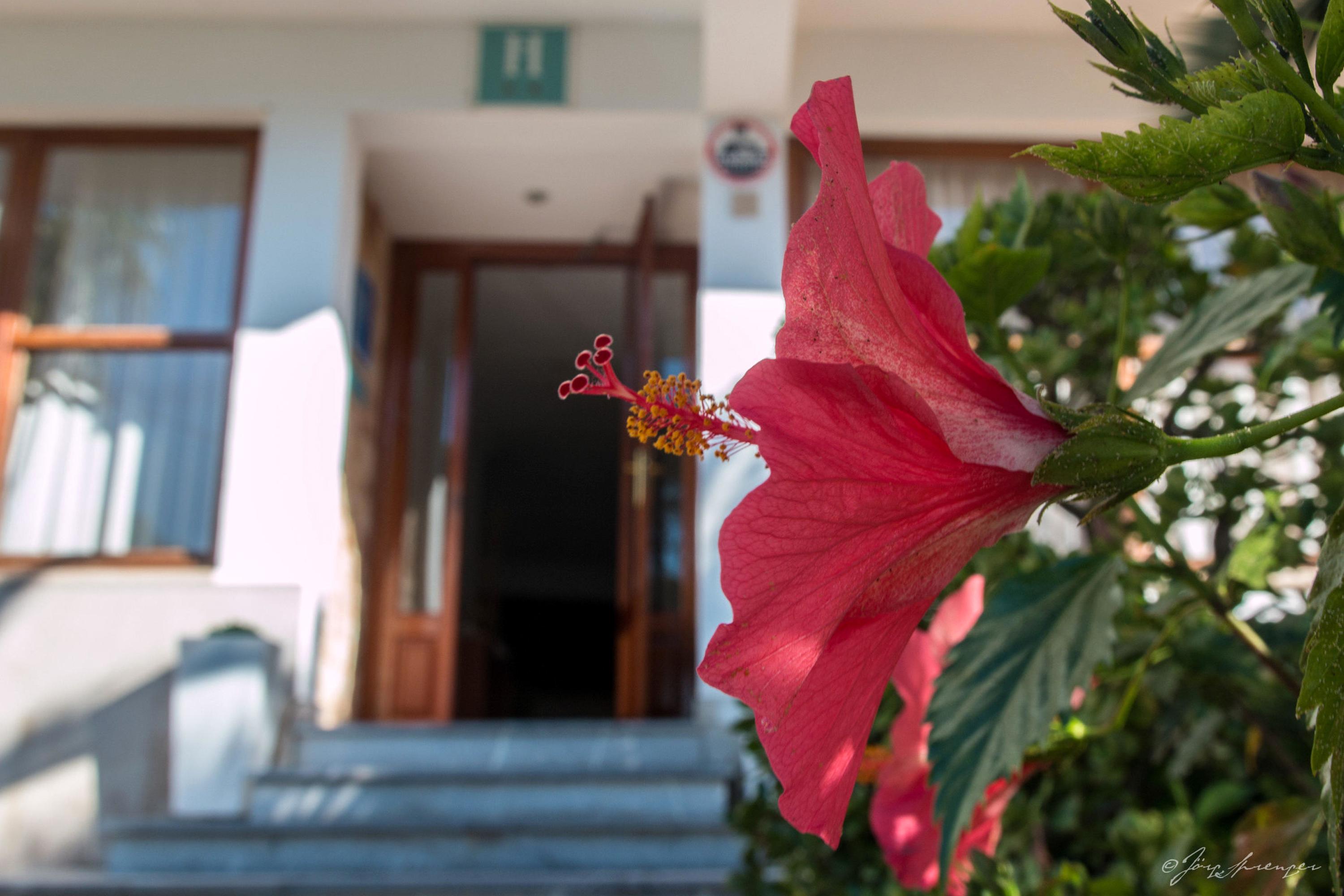 Hotel Santanyi Port กาลาฟีเกรา ภายนอก รูปภาพ